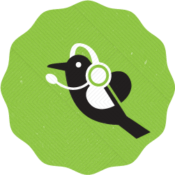 WebEngage Feedback Logo